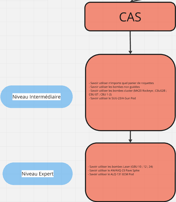 CAS.PNG