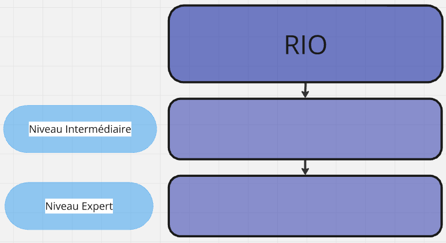RIO.PNG